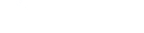 TechGecko Logo